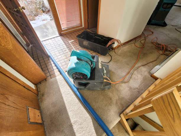 Best Water damage contractors near me  in Buffalo, OK
