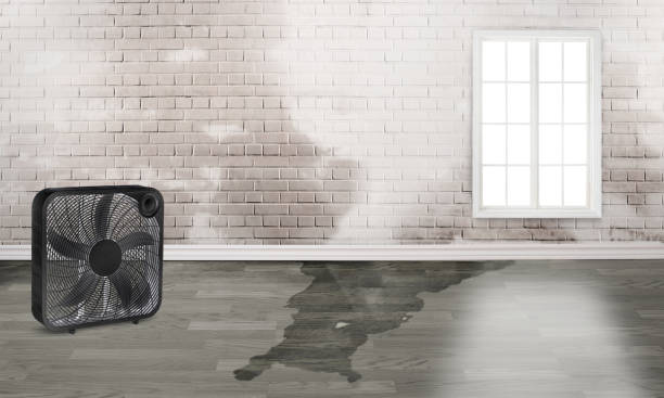  Buffalo, OK Water damage restoration Pros